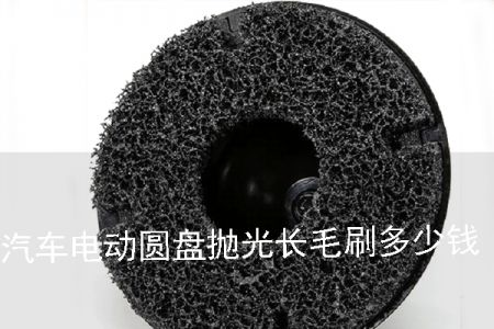 汽車電動圓盤拋光長毛刷多少錢