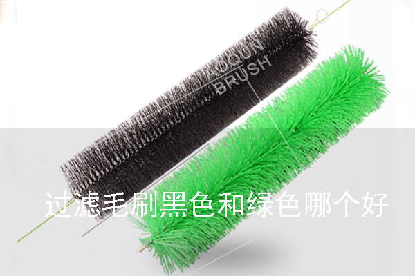 過濾毛刷黑色和綠色哪個好